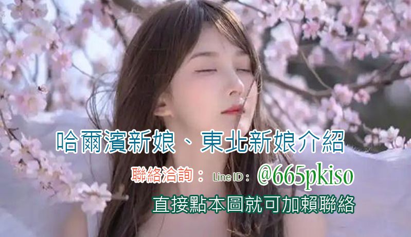 聯絡洽詢到哈爾濱相親娶哈爾濱新娘、東北新娘